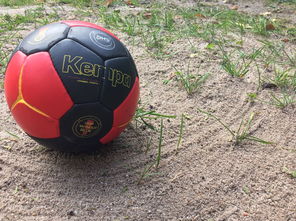 开云·Kaiyun网页版-“沙滩赛场燃爆天府新区,沙滩手球和合球上演极限对决”